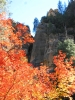 PICTURES/Sedona West Fork Trail  - Again/t_Red Leaves & Rocks1.jpg